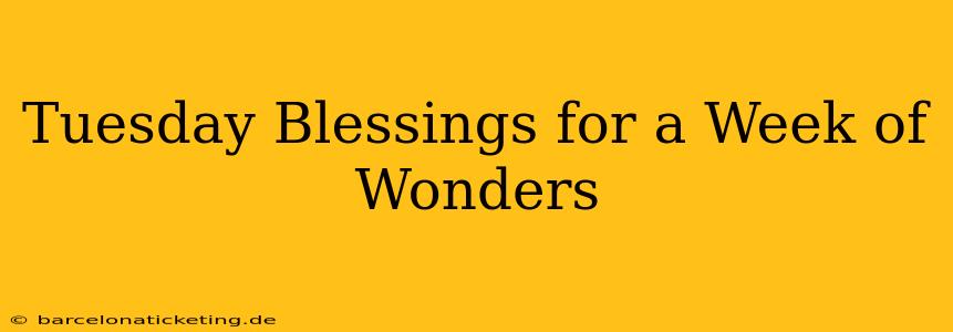 Tuesday Blessings for a Week of Wonders