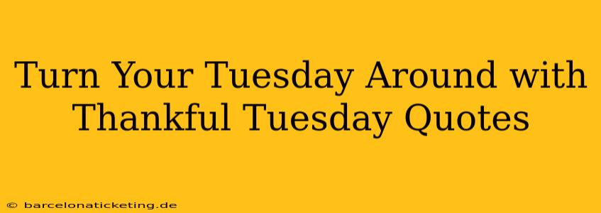 Turn Your Tuesday Around with Thankful Tuesday Quotes