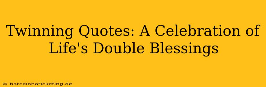 Twinning Quotes: A Celebration of Life's Double Blessings