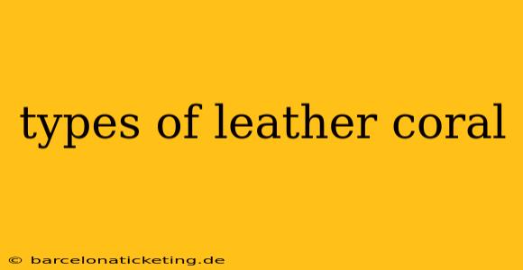 types of leather coral