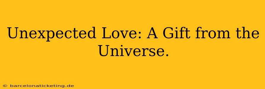 Unexpected Love: A Gift from the Universe.