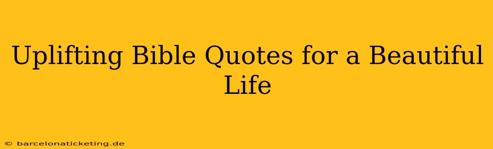 Uplifting Bible Quotes for a Beautiful Life