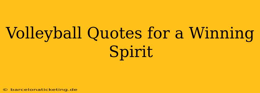 Volleyball Quotes for a Winning Spirit