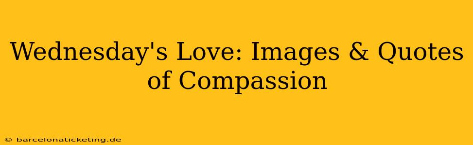 Wednesday's Love: Images & Quotes of Compassion