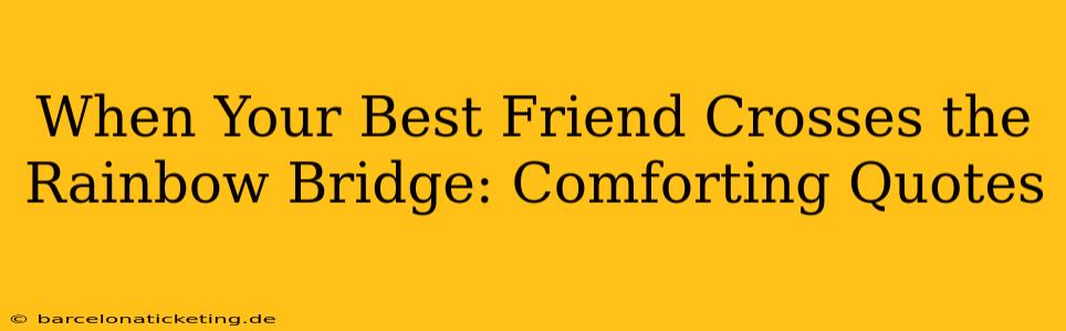 When Your Best Friend Crosses the Rainbow Bridge: Comforting Quotes