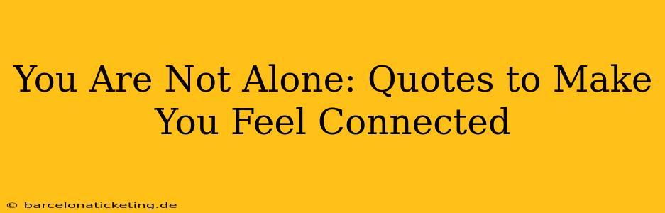 You Are Not Alone: Quotes to Make You Feel Connected
