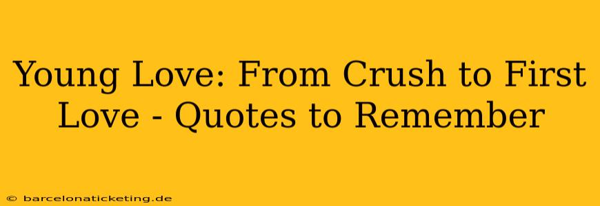 Young Love: From Crush to First Love - Quotes to Remember
